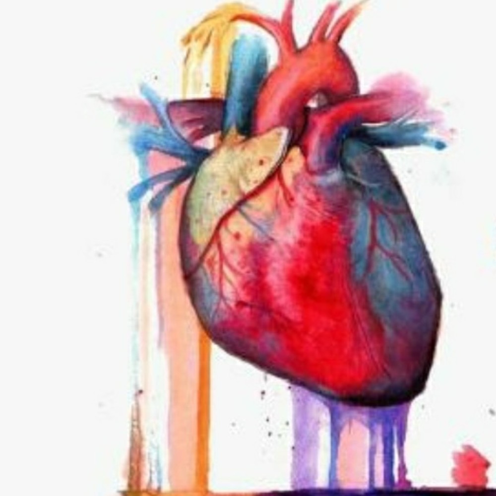 Meet your Posher, Big